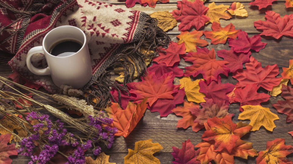C’est l’automne, le vent fraîchit…