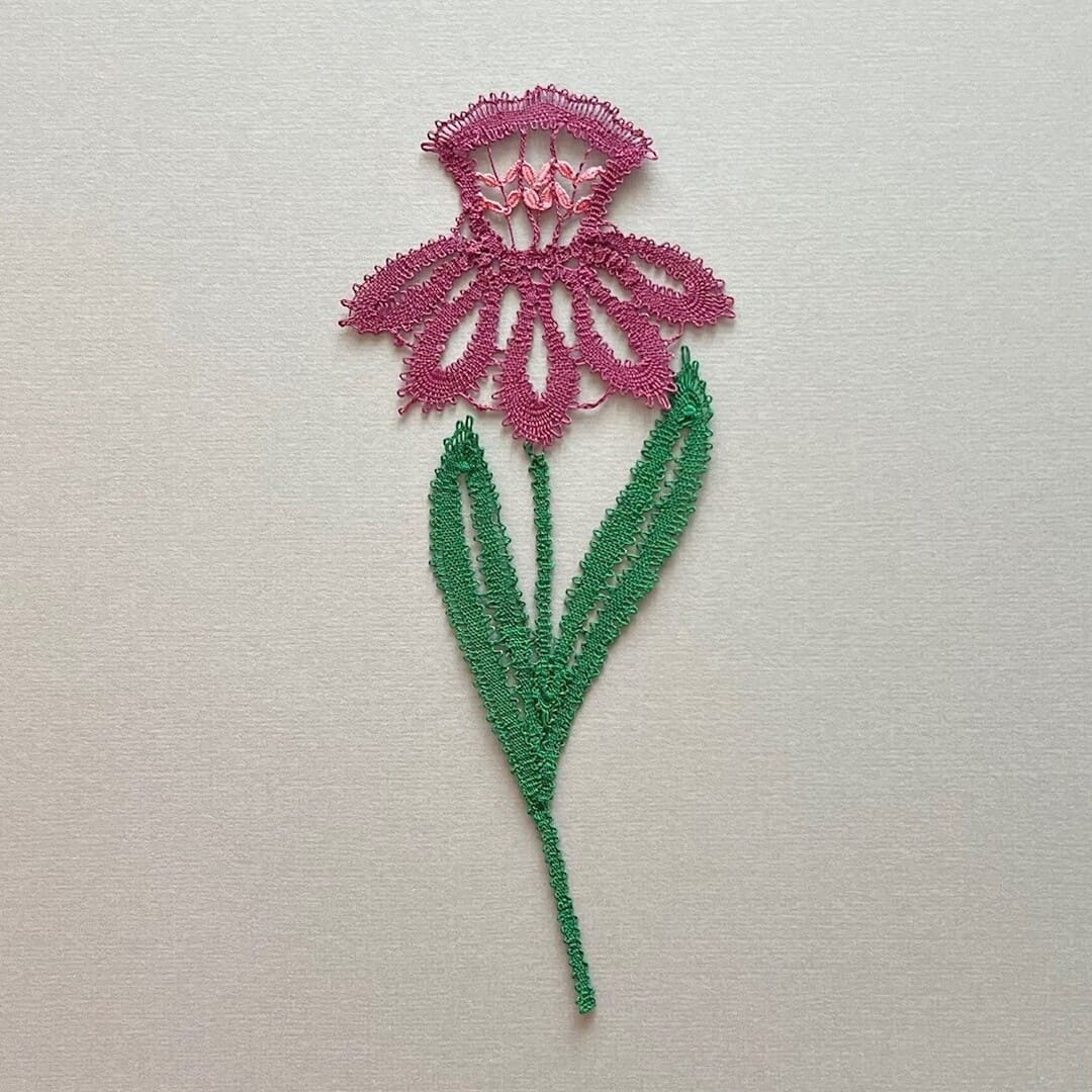 Une fleur dans mon jardin