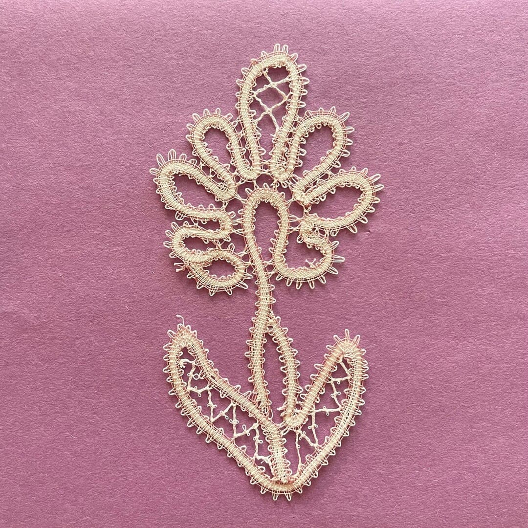 Première fleur
