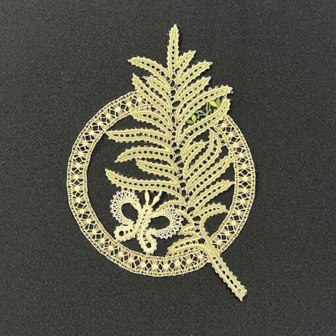 Papillon et araignées